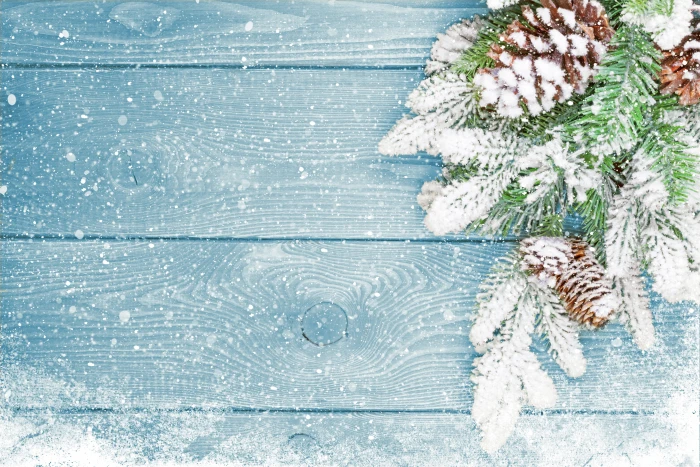 brown pine cone and green tree leaves winter snow New Year 2k 4k 5k
