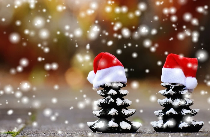 shallow focus photography of two pine tree decorations christmas 2k 4k 5k