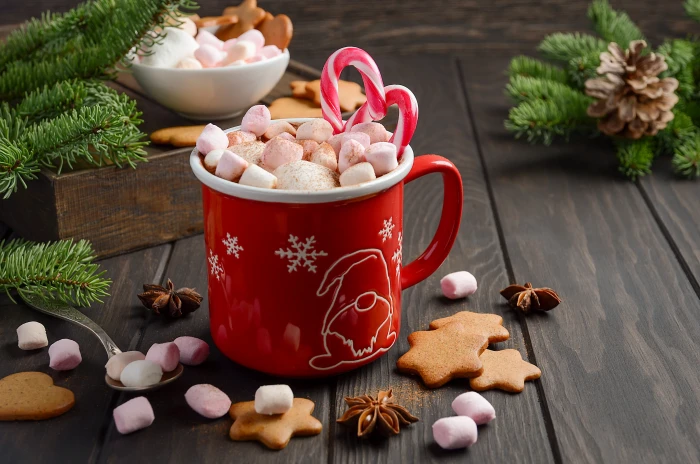 decoration New Year Christmas mug cup cocoa xmas Merry 2k 4k