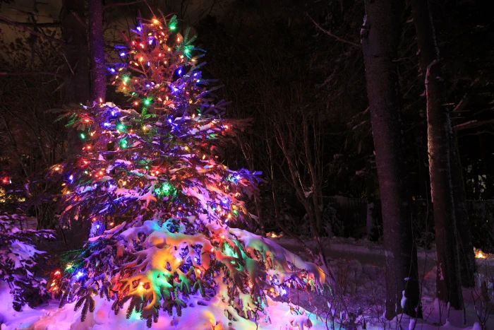 Bright and merry Christmas lights xmas festival season christmas eve 2k