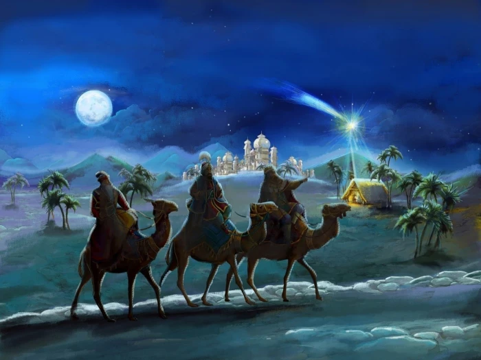 Holiday Christmas Camel Desert Moon Night Palace Star
