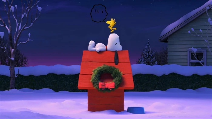Movie The Peanuts Christmas Sleeping Snoopy TV Show
