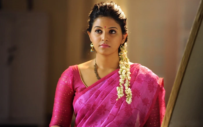 Actresses Anjali one person traditional clothing portrait