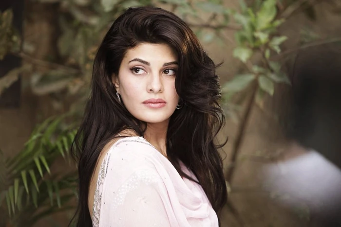 Jacquelina Fernandez women actress brunette upscaled long hair