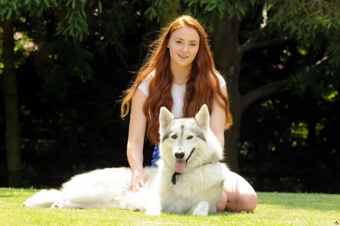 Sophie Turner and adult Alaskan malamute Game of Thrones actress 2k