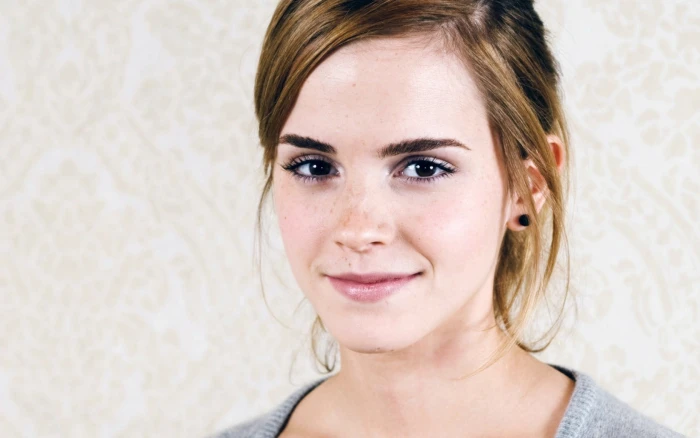 woman in gray top photo Emma Watson face actress women celebrity 21