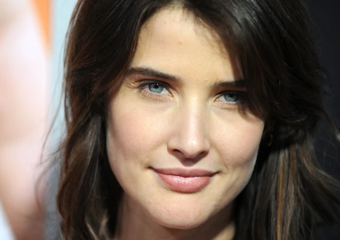 women closeup blue eyes actress cobie smulders faces Nature close up HD Art 2k