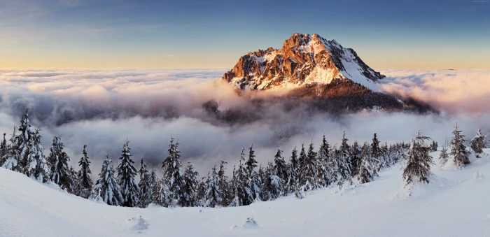fog mountains pines snow Slovakia 2k 4k 5k