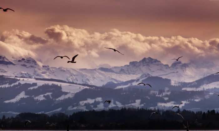 clouds Switzerland mountains seagulls Alps 2k 4k 5k