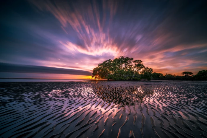 Nudgee Beach Sunrise 2k 4k 5k 8k