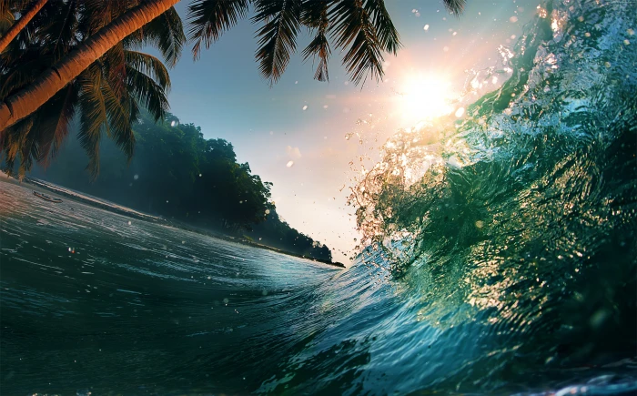 ocean Wave sun palms 2k 4k 5k