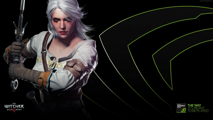 The Witcher 3 Wild Hunt one person front view young adult 2k 4k