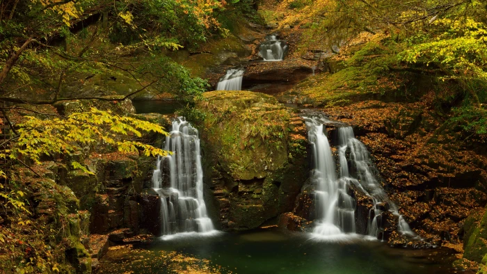 nature scene waterfall tree scenics long exposure 2k 4k 5k 8k