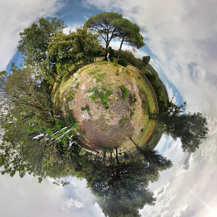 degree photography of forest planet green natural earth 2k 4k 5k