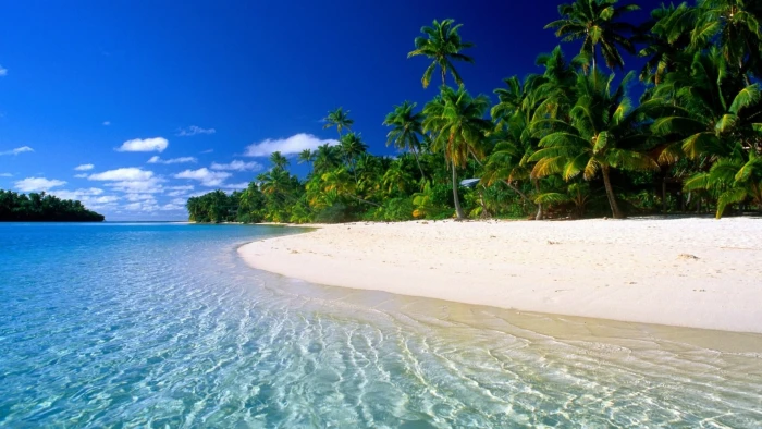Beach desktop background water tropical climate 2k