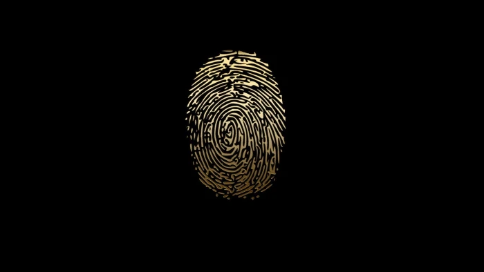 px Biometrics Data Fingerprint Nature close up HD Art 2k