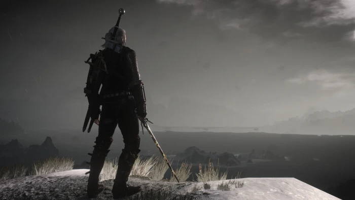 px Geralt Of Rivia The Witcher 3 Wild Hunt Animals Frogs HD Art 2k
