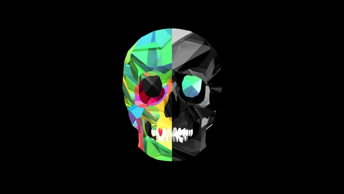multicolored skull illustration Justin Maller Facets black background 2k