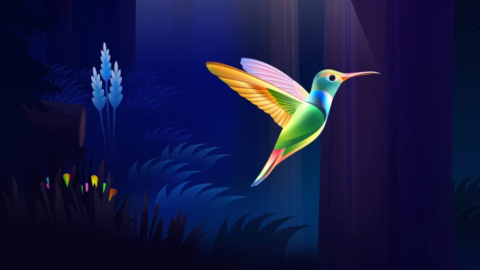 colibri bird colorful wood dark nature 2k