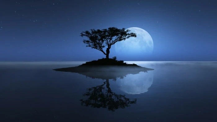 lone tree island stars night sky lonely starry 2k