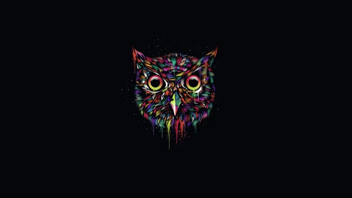multicolored owl illustration the dark background paint minimalism 2k