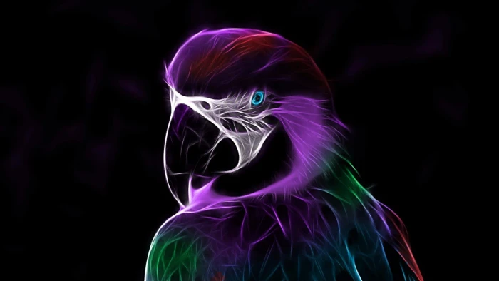 abstract digital art parrot light artwork darkness beak 2k