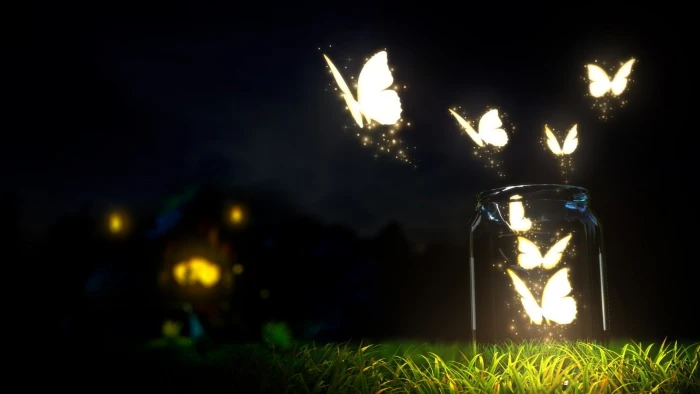 animal beautiful butterfly fantasy magic nature 2k