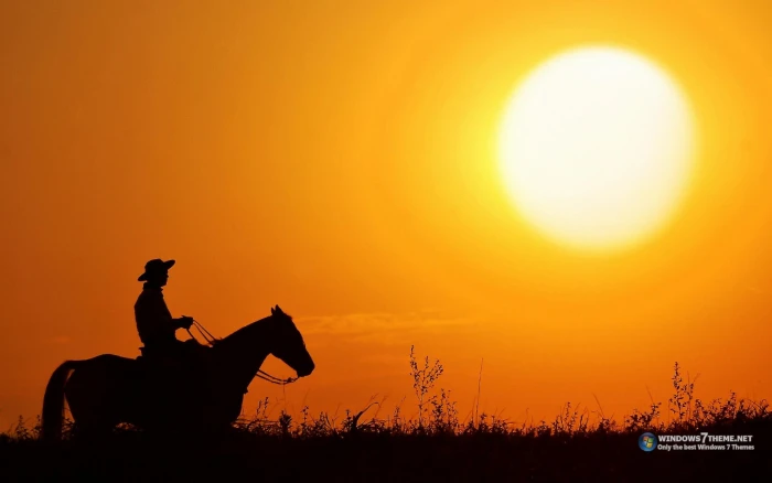 Belo Por Do Sol beleza homem cavalo natureza nature and landscapes 2k