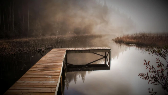 Autumn forest rivers docks serene scenery 2k