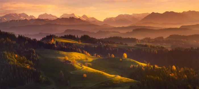 green leafed trees morning mountains forest Switzerland mist 2k