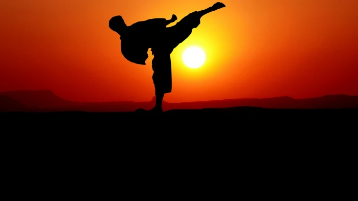 karate sunset nature harmony silhouette the year mental 2k 4k
