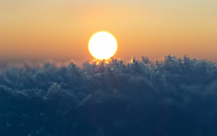 orange sun golden hour bokeh macro frost winter nature 2k