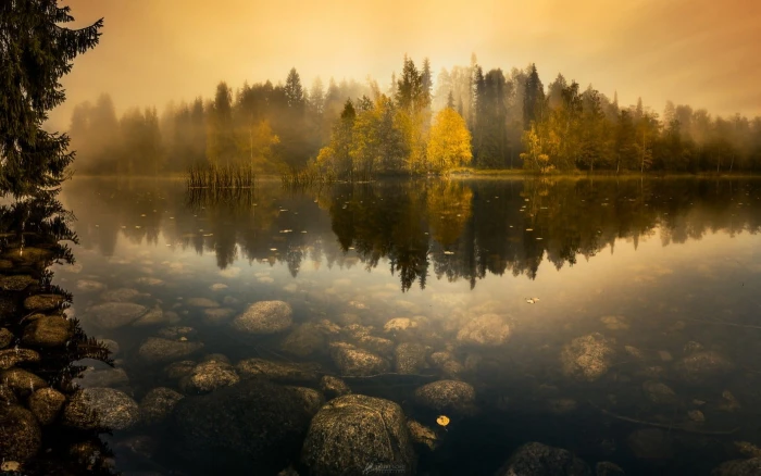rocks on lake underwater and trees at distance during golden hour