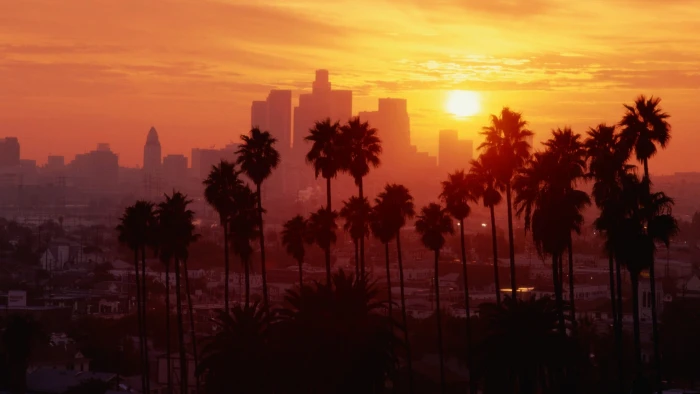 silhouette of palm trees Los Angeles sunset sky plant building exterior 2k