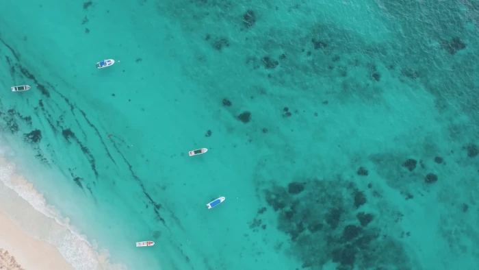 teal and white floral textile boat sea beach water turquoise colored 2k