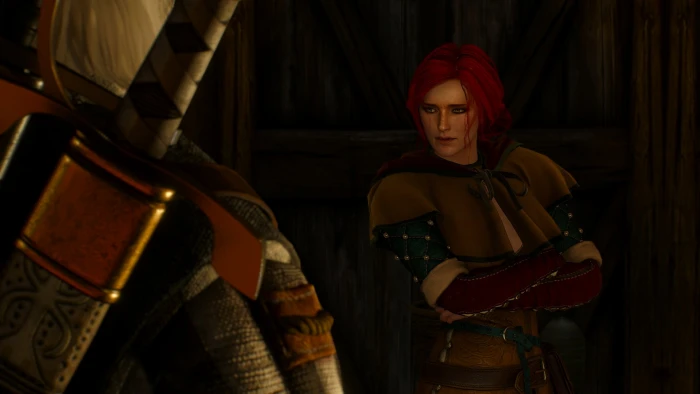 The Witcher 3 Wild Hunt Triss Merigold Geralt of Rivia indoors 2k