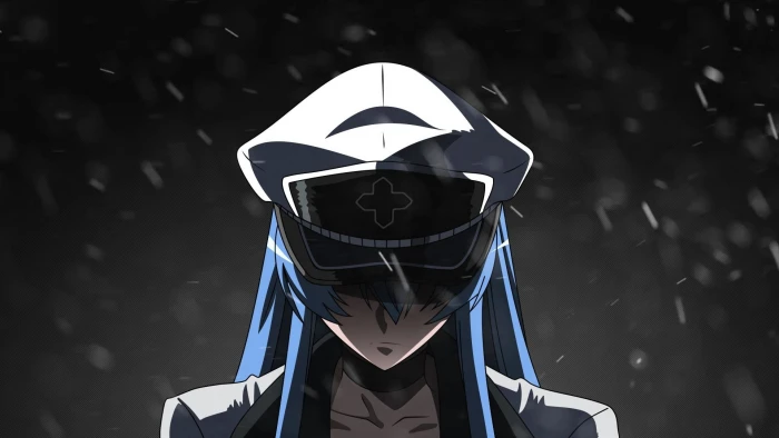 Akame ga Kill anime girls Esdeath 2k