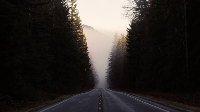 asphalt road nature landscape trees forest mist hills transportation 2k