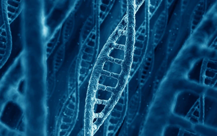 A DNA chain blue dna graphic molecule the nature of 2k