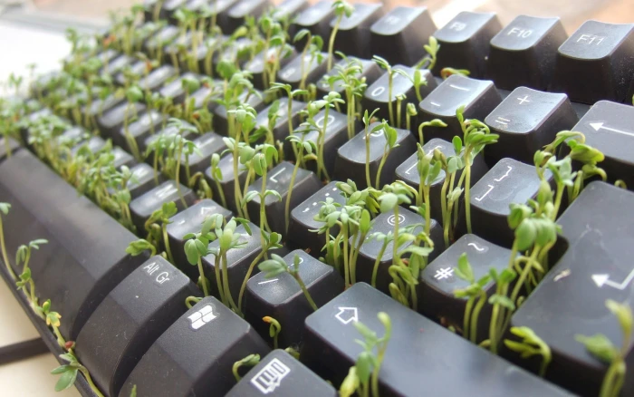 black computer keyboard keyboards nature plants selective focus 2k