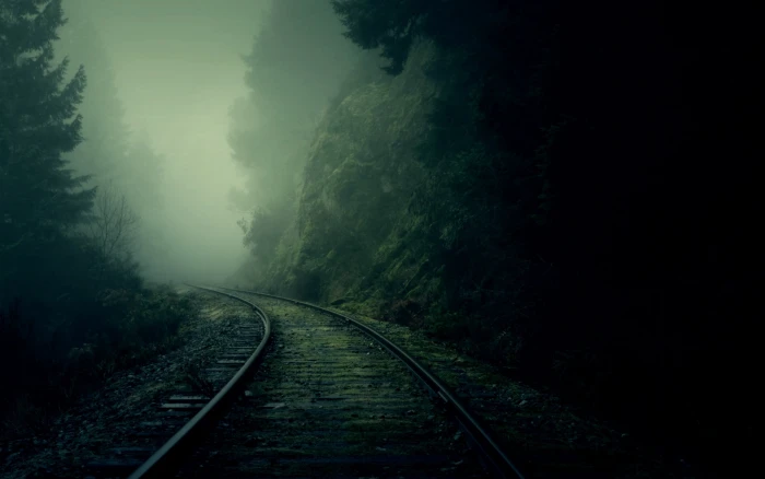train rails trail rail in between trees surrounded with fogs 2k