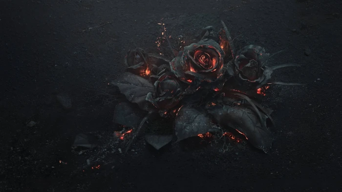 black rose wallpaper flowers fire Gothic Natural Phenomenon 2k