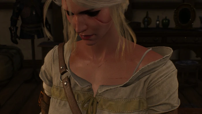 The Witcher 3 Wild Hunt Cirilla Fiona Elen Riannon one person 2k