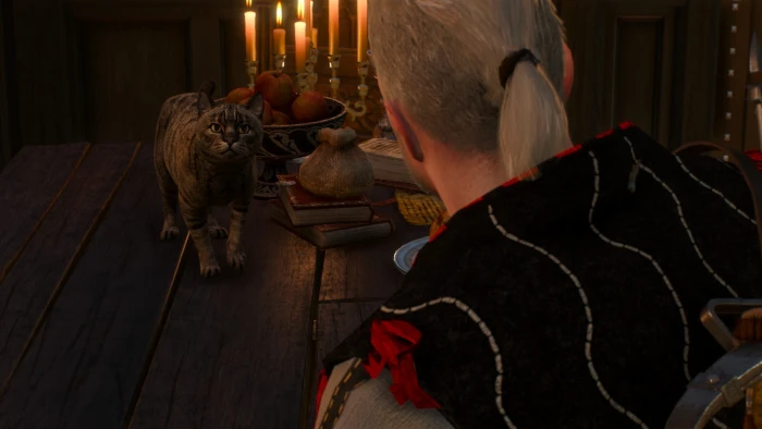The Witcher 3 Wild Hunt domestic animals mammal pets indoors 2k