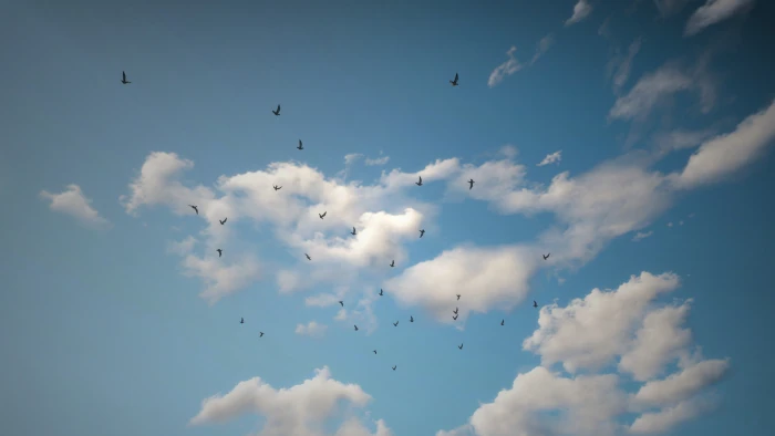 The Witcher 3 Wild Hunt Velen 2k