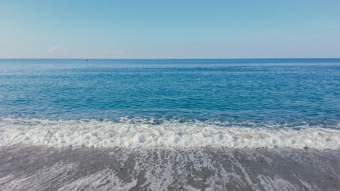 blue and white floral area rug beach sea horizon sand water 2k