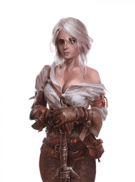 The Witcher 3 Wild Hunt Blood and Wine