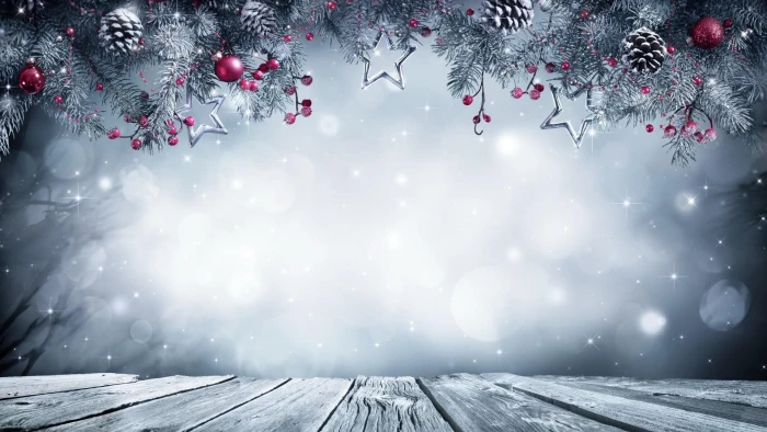 christmas decoration winter wood bokeh tree plant cold temperature 2k