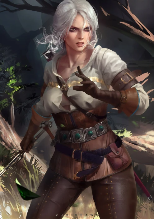 Cirilla Fiona Elen Riannon The Witcher 3 Wild Hunt