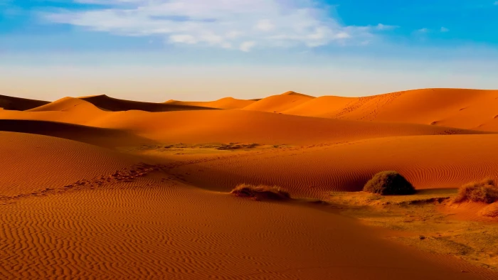 Desert Nature Landscape Dune Sand Sahara Morocco 2k